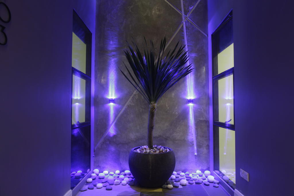 I Am Jazz Hotel Johor Bahru Exteriör bild